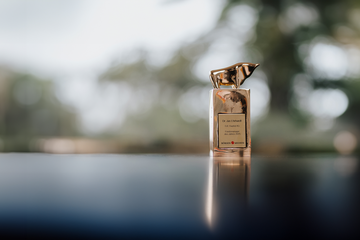 Auszeichnung Goldener Bulle zum Fondsmanager des Jahres vor unscharfem Hintergrund